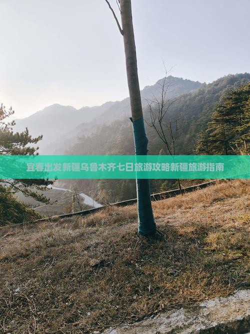 宜春出发新疆乌鲁木齐七日旅游攻略新疆旅游指南