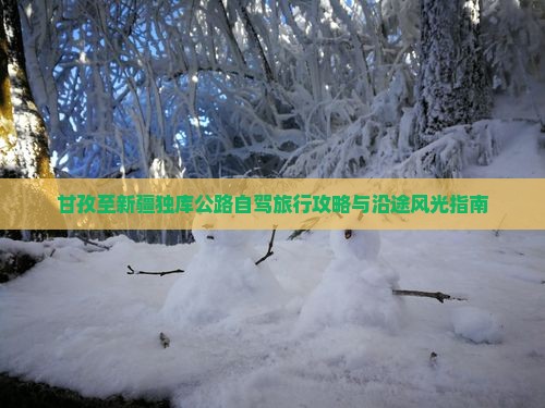 甘孜至新疆独库公路自驾旅行攻略与沿途风光指南