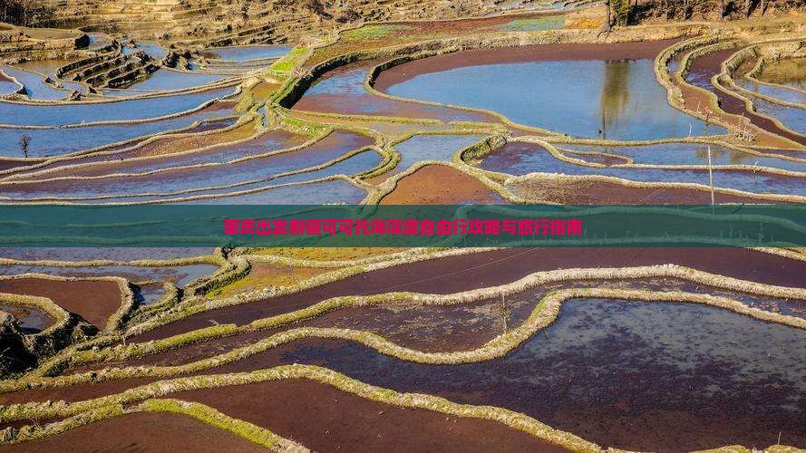 肇庆出发新疆可可托海深度自由行攻略与旅行指南