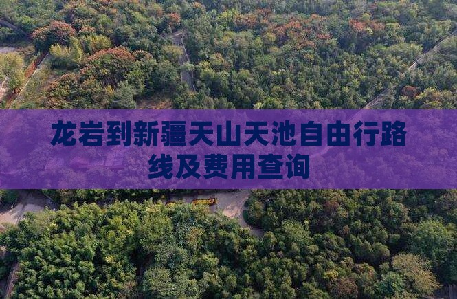 龙岩到新疆天山天池自由行路线及费用查询