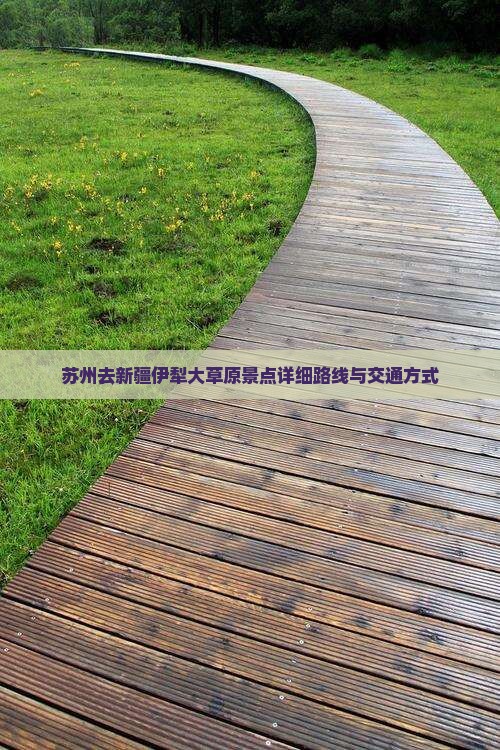苏州去新疆伊犁大草原景点详细路线与交通方式