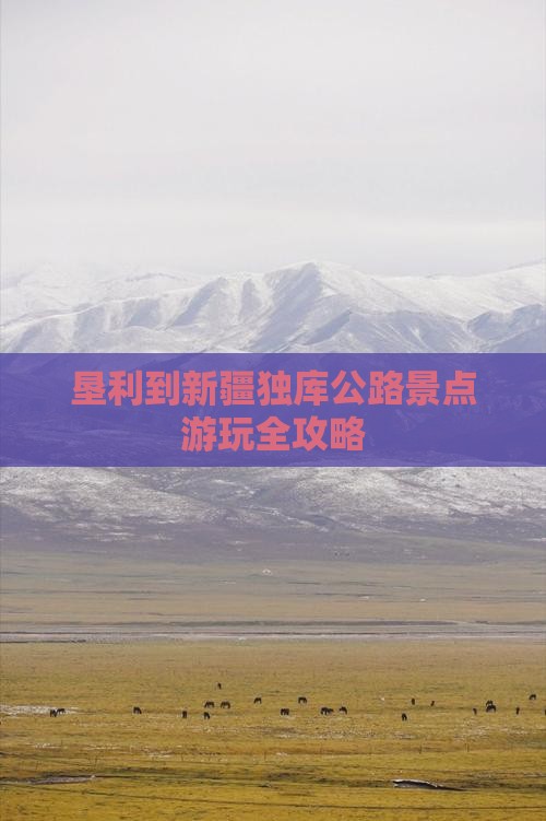 垦利到新疆独库公路景点游玩全攻略