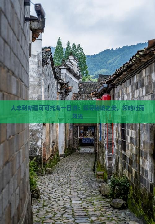 大丰到新疆可可托海一日游：探寻秘境之美，领略壮丽风光