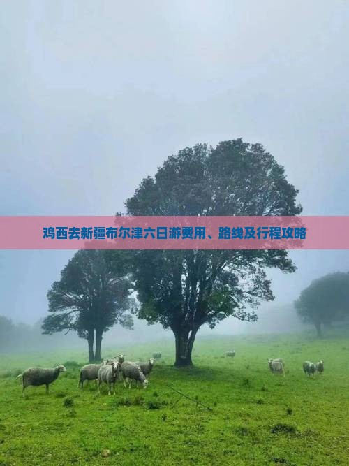 鸡西去新疆布尔津六日游费用、路线及行程攻略
