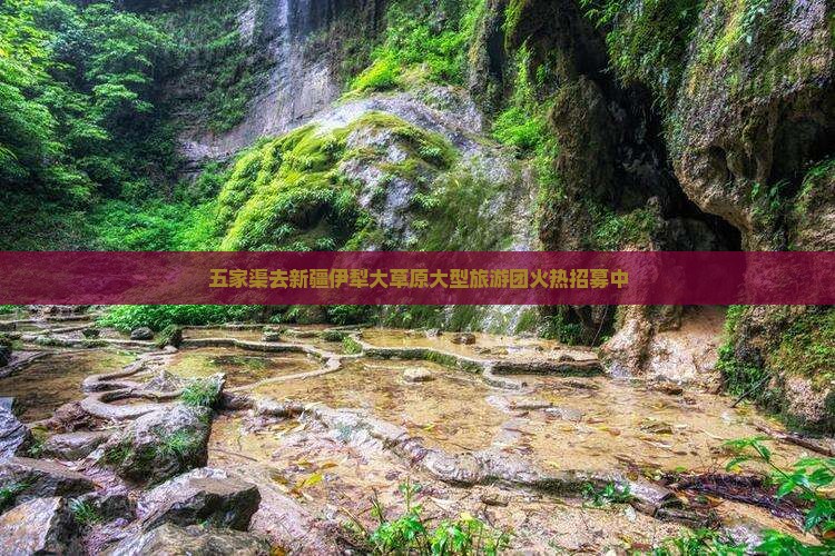 五家渠去新疆伊犁大草原大型旅游团火热招募中