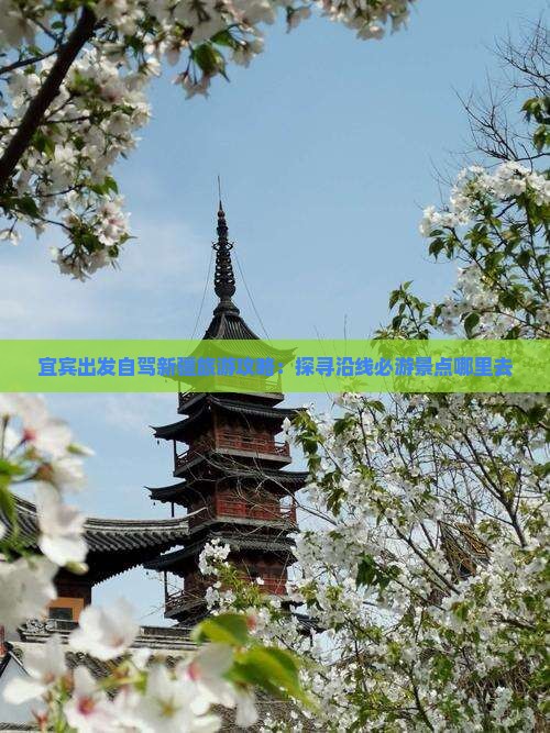 宜宾出发自驾新疆旅游攻略：探寻沿线必游景点哪里去