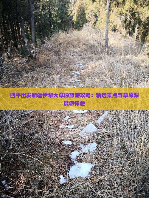 四平出发新疆伊犁大草原旅游攻略：精选景点与草原深度游体验