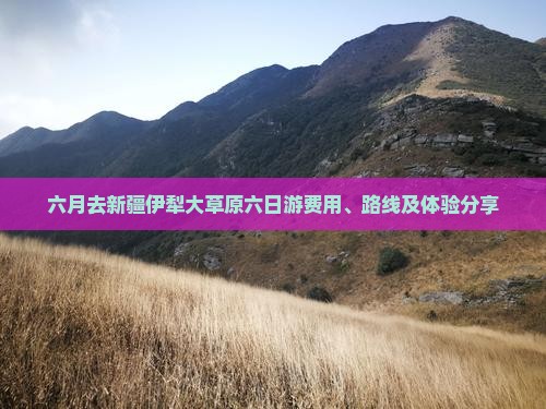 六月去新疆伊犁大草原六日游费用、路线及体验分享