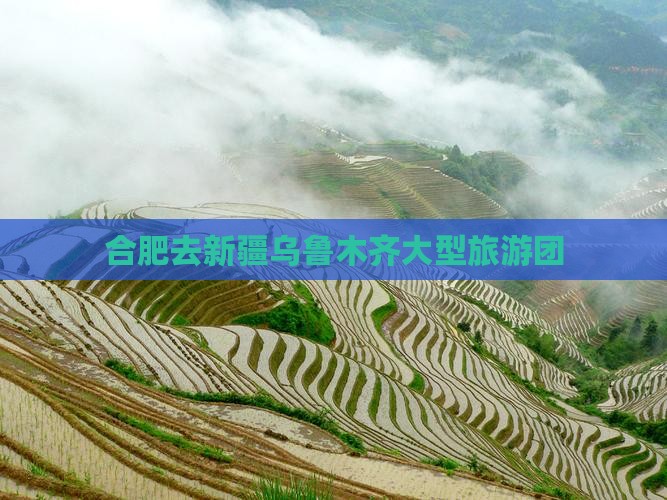 合肥去新疆乌鲁木齐大型旅游团