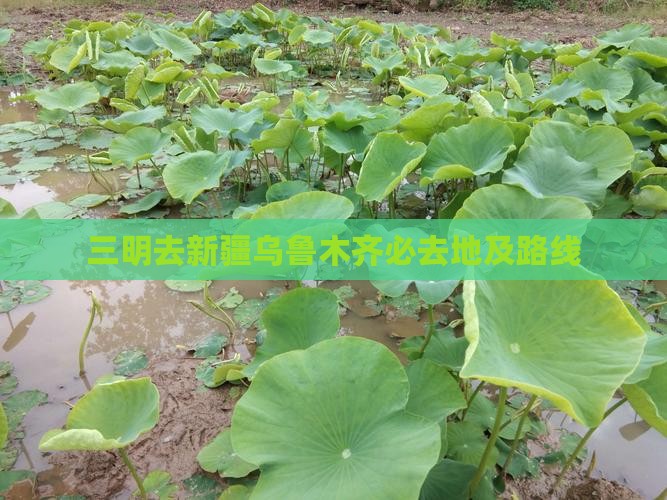 三明去新疆乌鲁木齐必去地及路线