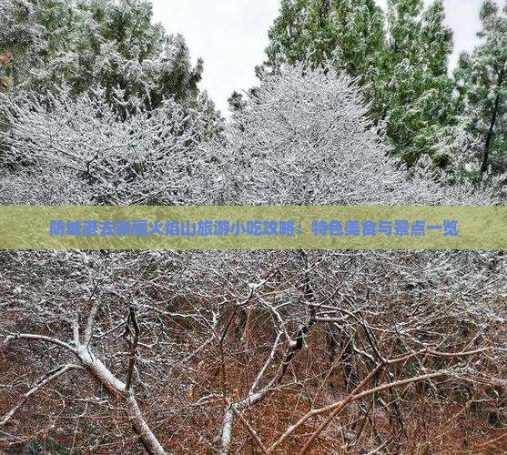 防城港去新疆火焰山旅游小吃攻略：特色美食与景点一览