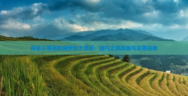 探索三明至新疆伊犁大草原：独行之旅攻略与实用指南