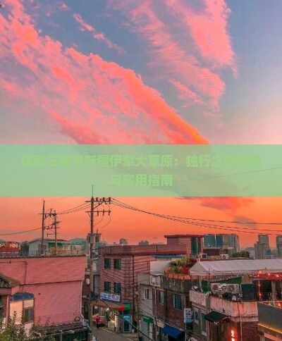探索三明至新疆伊犁大草原：独行之旅攻略与实用指南