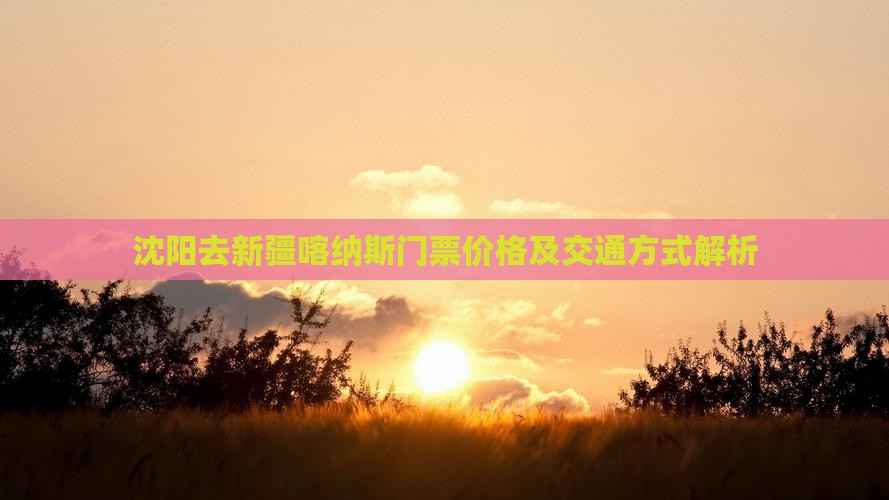 沈阳去新疆喀纳斯门票价格及交通方式解析