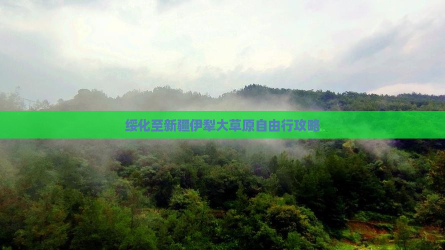 绥化至新疆伊犁大草原自由行攻略