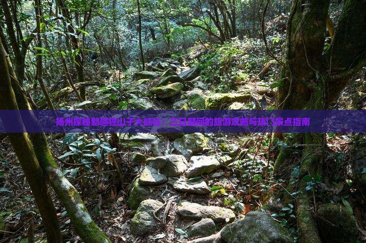 扬州探秘新疆独山子大峡谷：三日期间的旅游攻略与热门景点指南