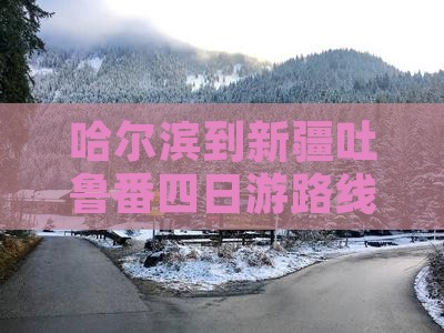 哈尔滨到新疆吐鲁番四日游路线及费用详解