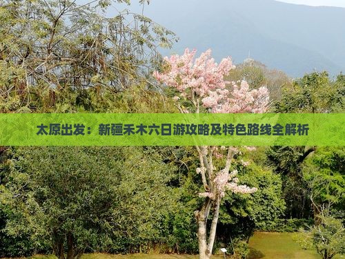 太原出发：新疆禾木六日游攻略及特色路线全解析