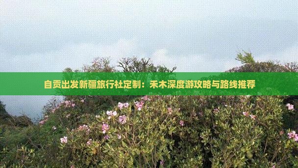自贡出发新疆旅行社定制：禾木深度游攻略与路线推荐