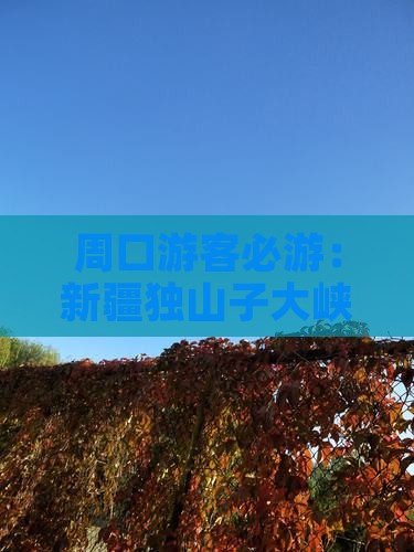 周口游客必游：新疆独山子大峡谷探险之旅