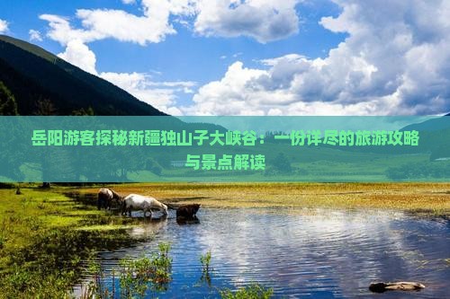 岳阳游客探秘新疆独山子大峡谷：一份详尽的旅游攻略与景点解读