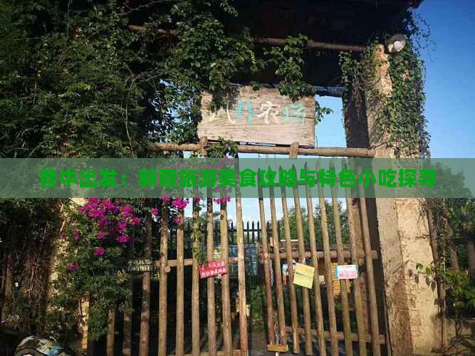 晋中出发：新疆旅游美食攻略与特色小吃探寻