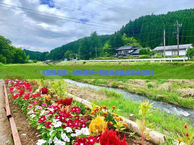 《固原启程：新疆旅游一日攻略及精选景点指南》