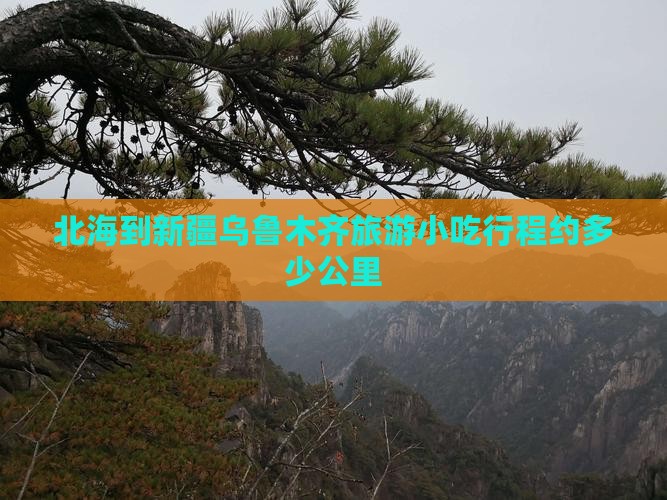 北海到新疆乌鲁木齐旅游小吃行程约多少公里