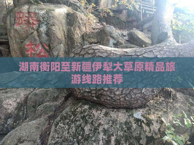 湖南衡阳至新疆伊犁大草原精品旅游线路推荐