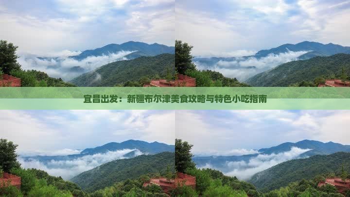 宜昌出发：新疆布尔津美食攻略与特色小吃指南