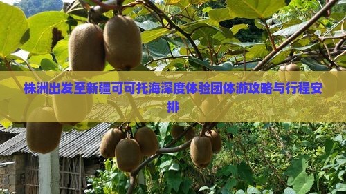 株洲出发至新疆可可托海深度体验团体游攻略与行程安排