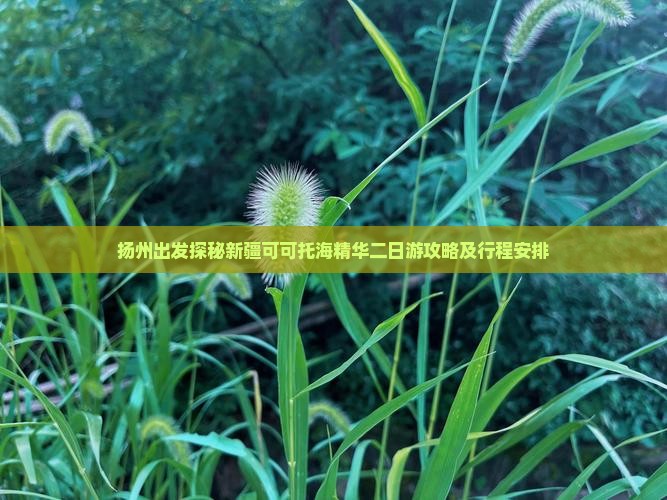 扬州出发探秘新疆可可托海精华二日游攻略及行程安排