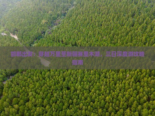 邯郸出发：穿越万里至新疆赛里木湖，三日深度游攻略指南