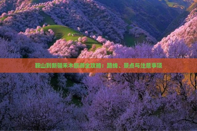 鞍山到新疆禾木旅游全攻略：路线、景点与注意事项