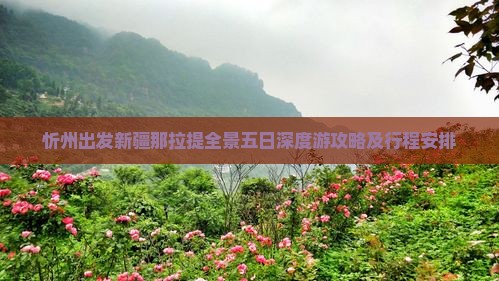 忻州出发新疆那拉提全景五日深度游攻略及行程安排