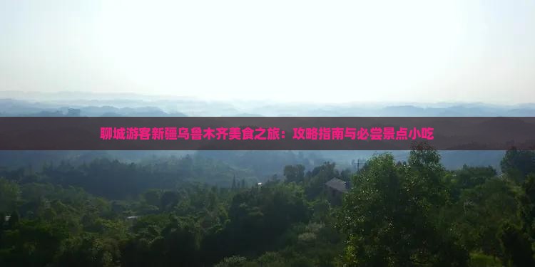 聊城游客新疆乌鲁木齐美食之旅：攻略指南与必尝景点小吃