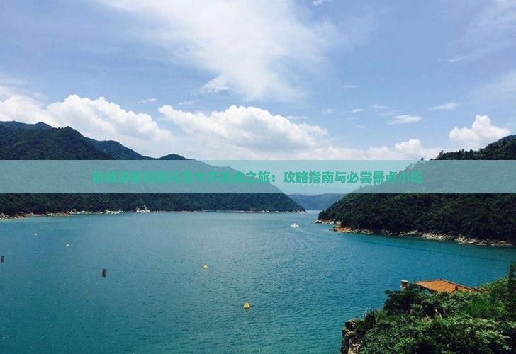 聊城游客新疆乌鲁木齐美食之旅：攻略指南与必尝景点小吃