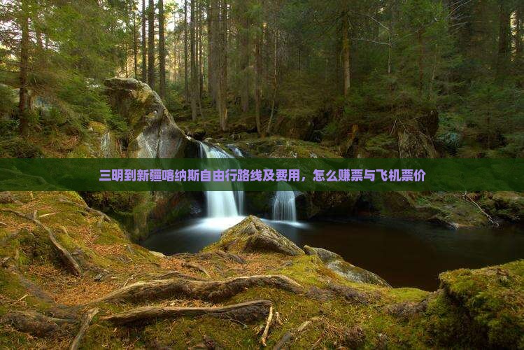 三明到新疆喀纳斯自由行路线及费用，怎么赚票与飞机票价