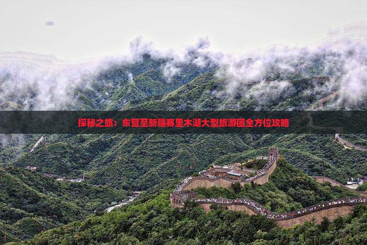 探秘之旅：东营至新疆赛里木湖大型旅游团全方位攻略