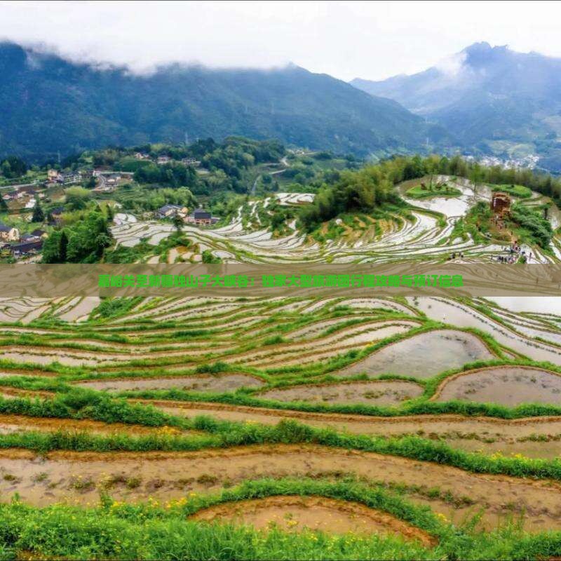嘉峪关至新疆独山子大峡谷：独家大型旅游团行程攻略与预订信息