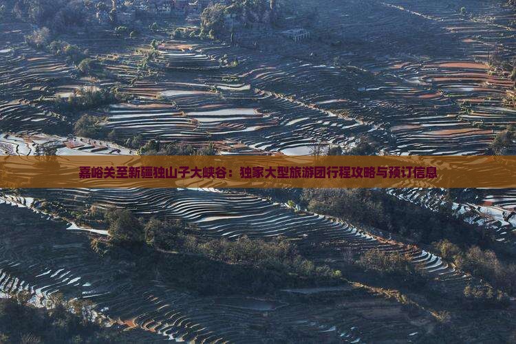 嘉峪关至新疆独山子大峡谷：独家大型旅游团行程攻略与预订信息