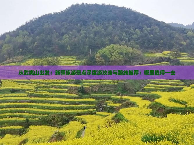 从武夷山出发：新疆旅游景点深度游攻略与路线推荐：哪里值得一去