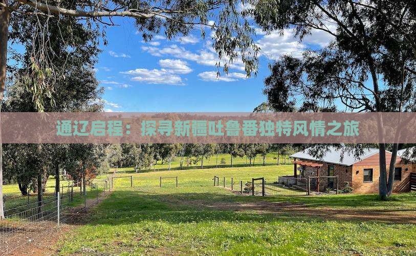 通辽启程：探寻新疆吐鲁番独特风情之旅