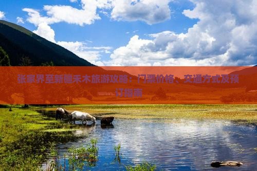 张家界至新疆禾木旅游攻略：门票价格、交通方式及预订指南