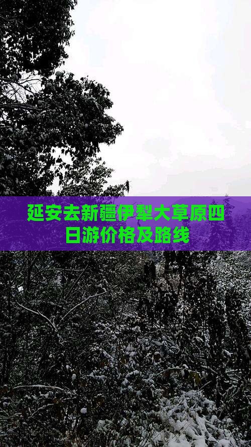 延安去新疆伊犁大草原四日游价格及路线