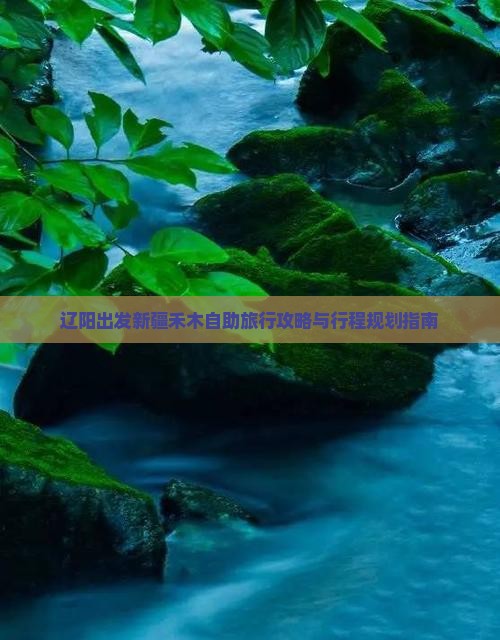 辽阳出发新疆禾木自助旅行攻略与行程规划指南