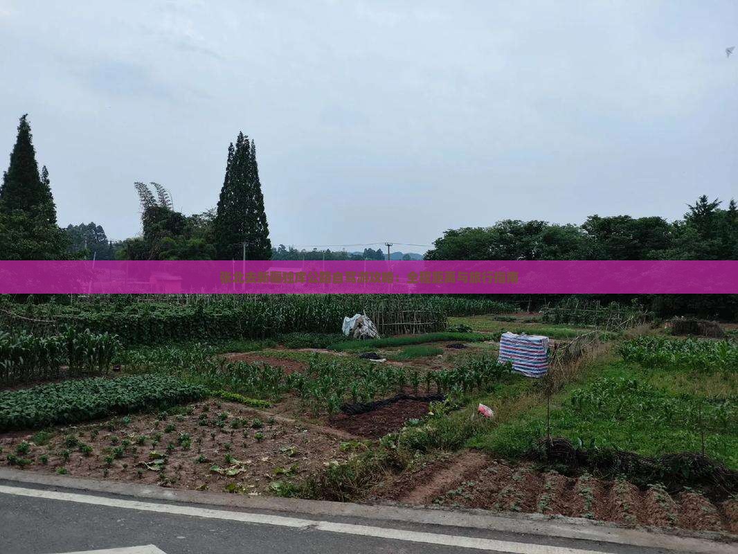 张北去新疆独库公路自驾游攻略：全程距离与旅行指南