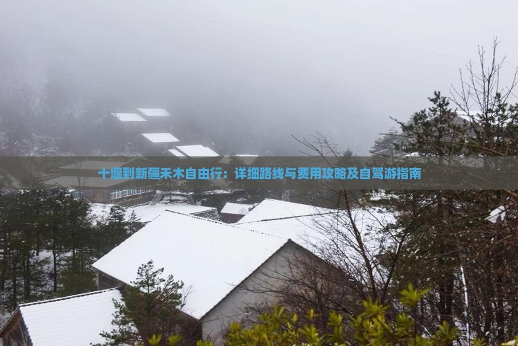 十堰到新疆禾木自由行：详细路线与费用攻略及自驾游指南