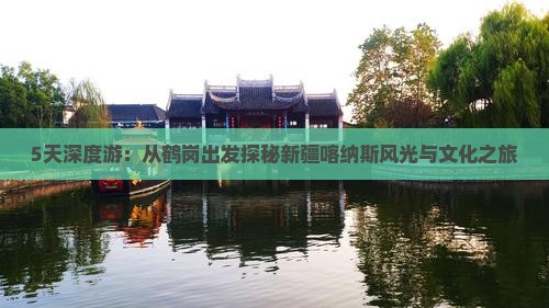 5天深度游：从鹤岗出发探秘新疆喀纳斯风光与文化之旅