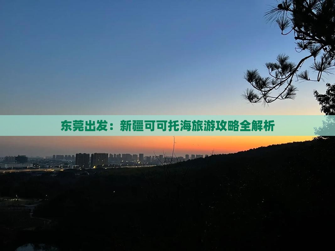 东莞出发：新疆可可托海旅游攻略全解析